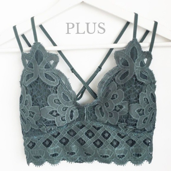 Blush & Belle Other - EDEN Plus Balsam Green Floral Padded Lace Bralette